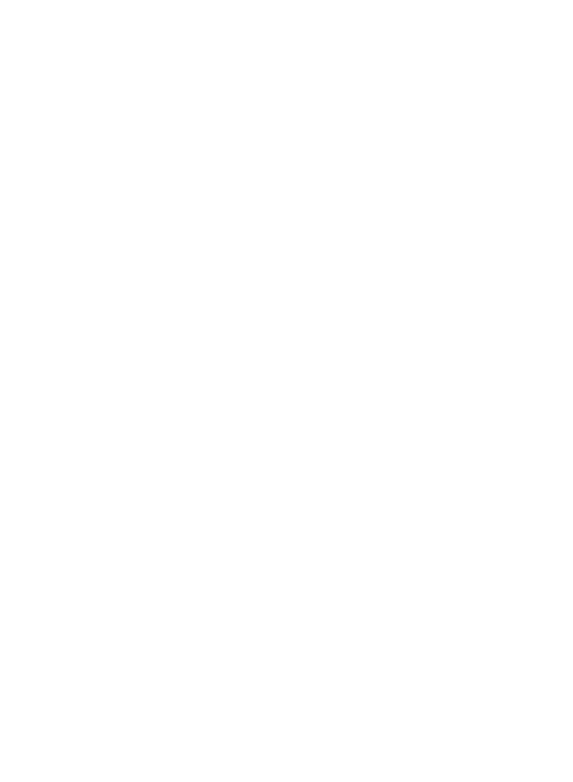 Jordan Strength Barbell Collars - Jordan 7 Pattern